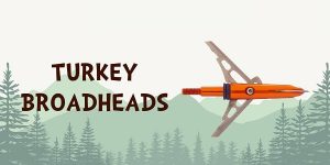 Best Turkey Broadheads 2022 Reviews & Buyer’s Guide