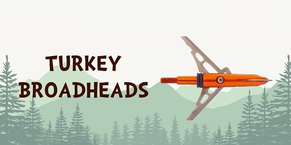 Best Turkey Broadheads