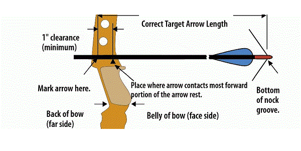 Draw weight