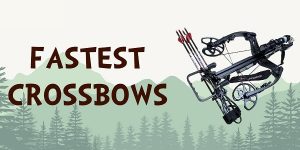 10 Best Crossbow 2022 Reviews & Buyer’s Guide