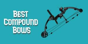10 Best Compound Bow For Hunting & Target Shooting 2022