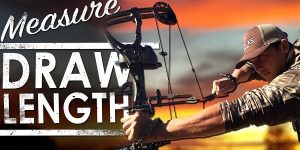 How To Measure Bow Draw Length? 3 Quick Ways