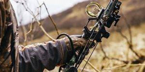 Crossbow Maintenance – 7 Things You Should Do