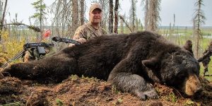 Where To Shoot A Bear With A Bow?