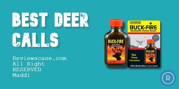 Best Deer Scent