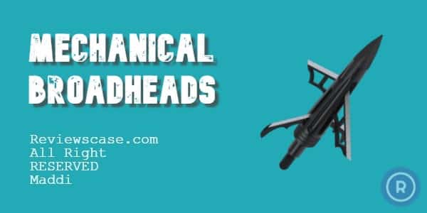 Best Mechanical Broadheads